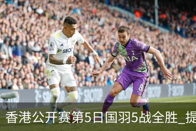 香港公开赛第5日国羽5战全胜 提前包揽混双冠亚军